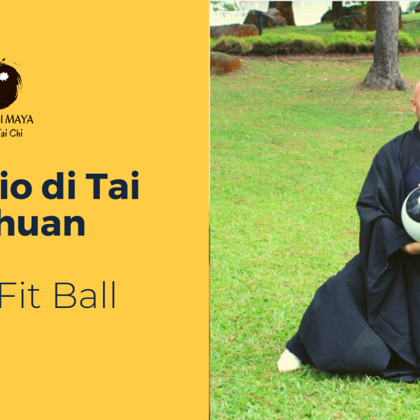 Tai Chi Fit Ball