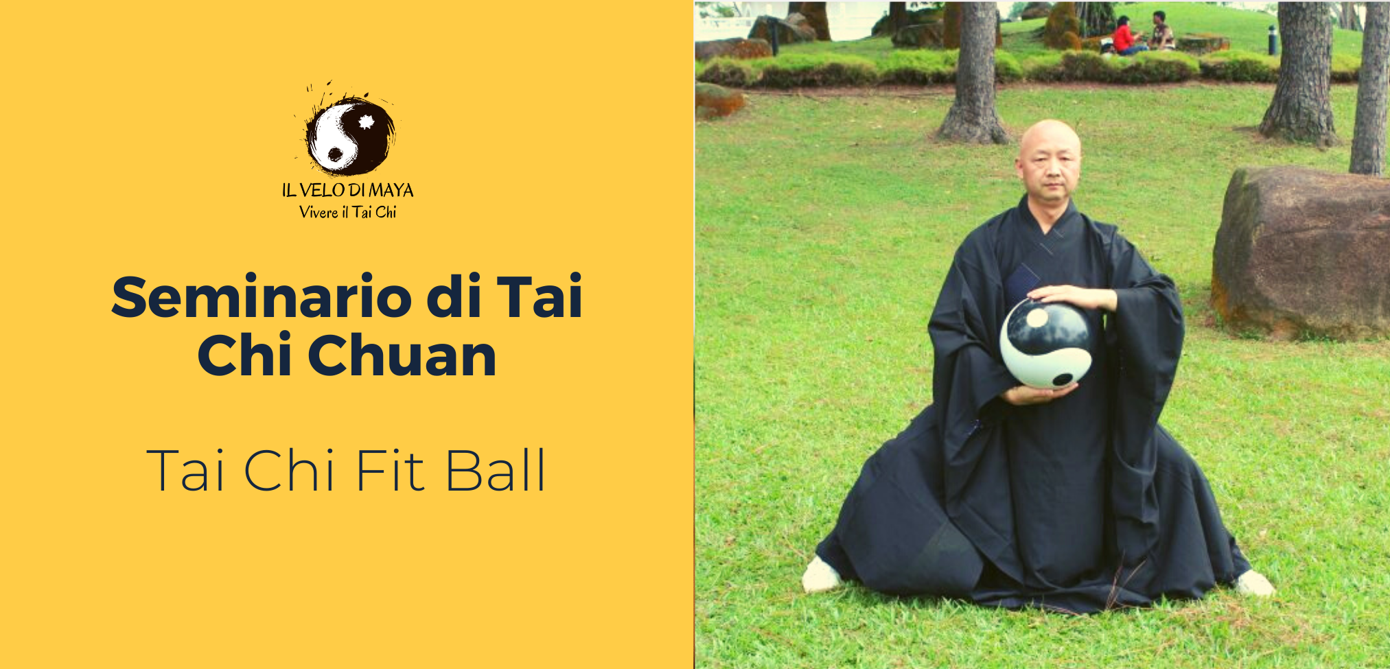 Tai Chi Fit Ball