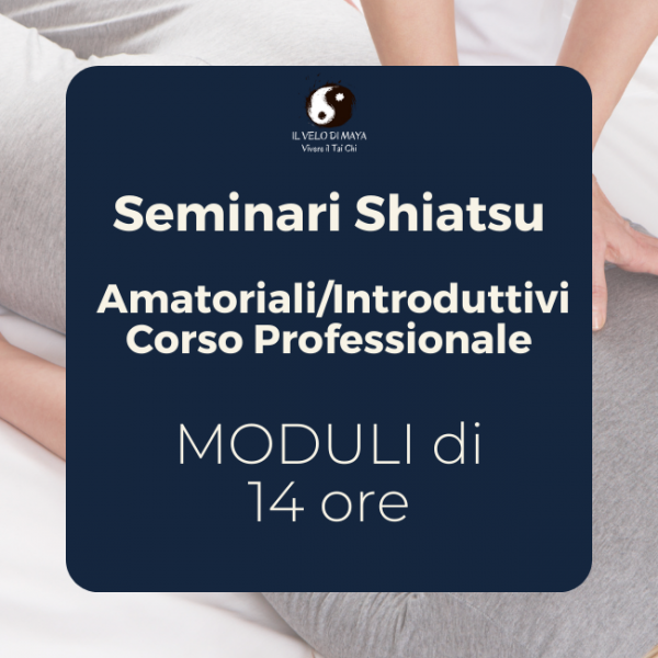 Shiatsu seminari