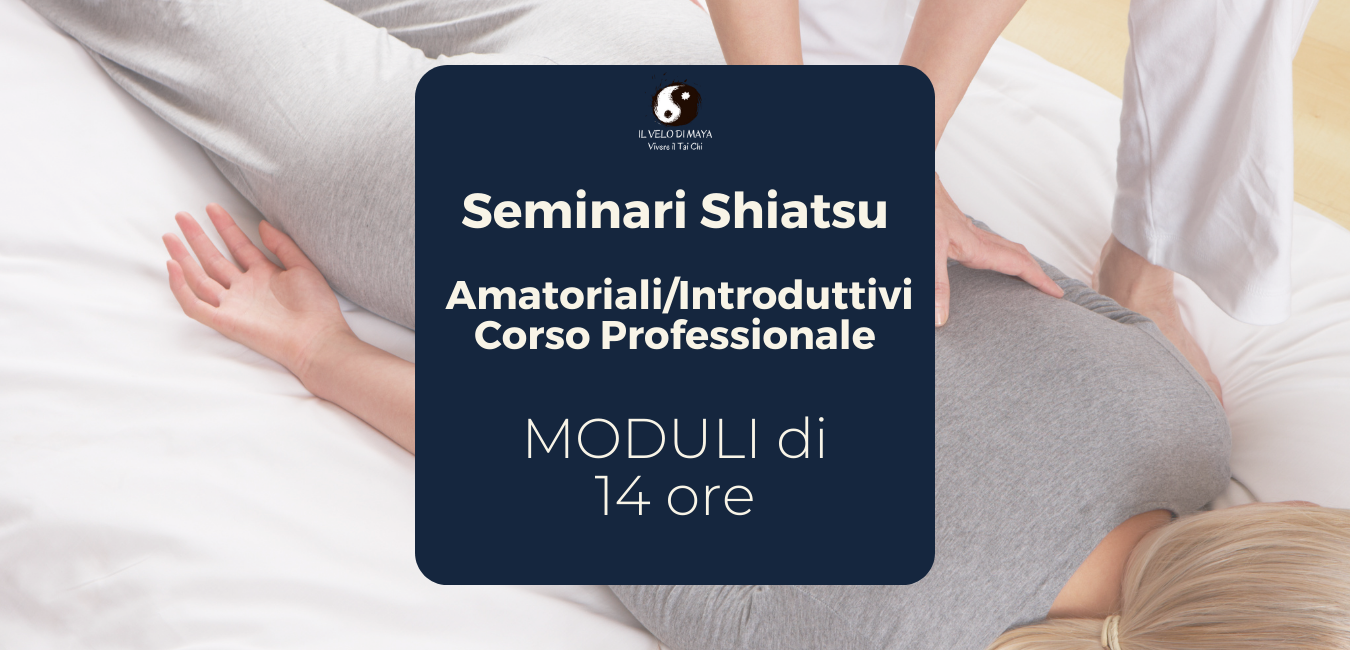 Shiatsu seminari