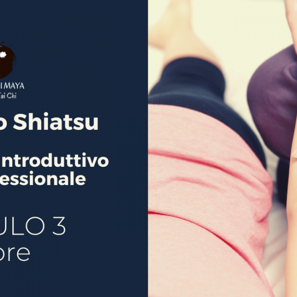 Modulo 3 Shiatsu