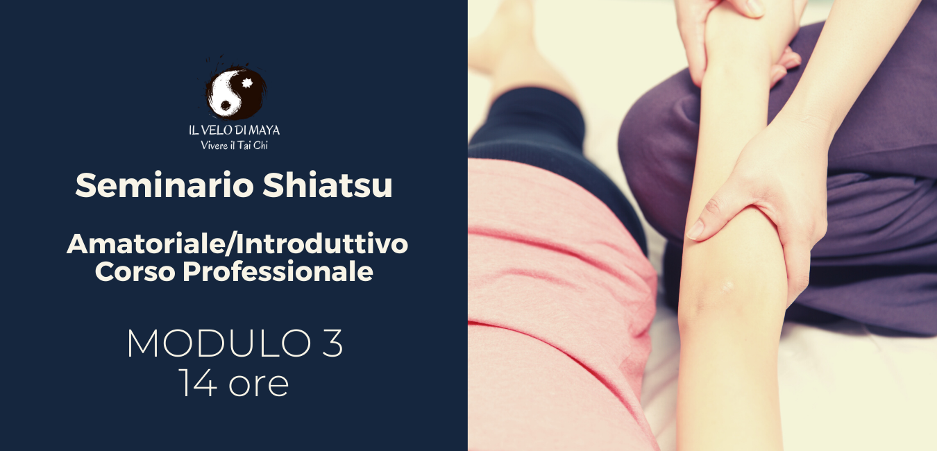 Modulo 3 Shiatsu
