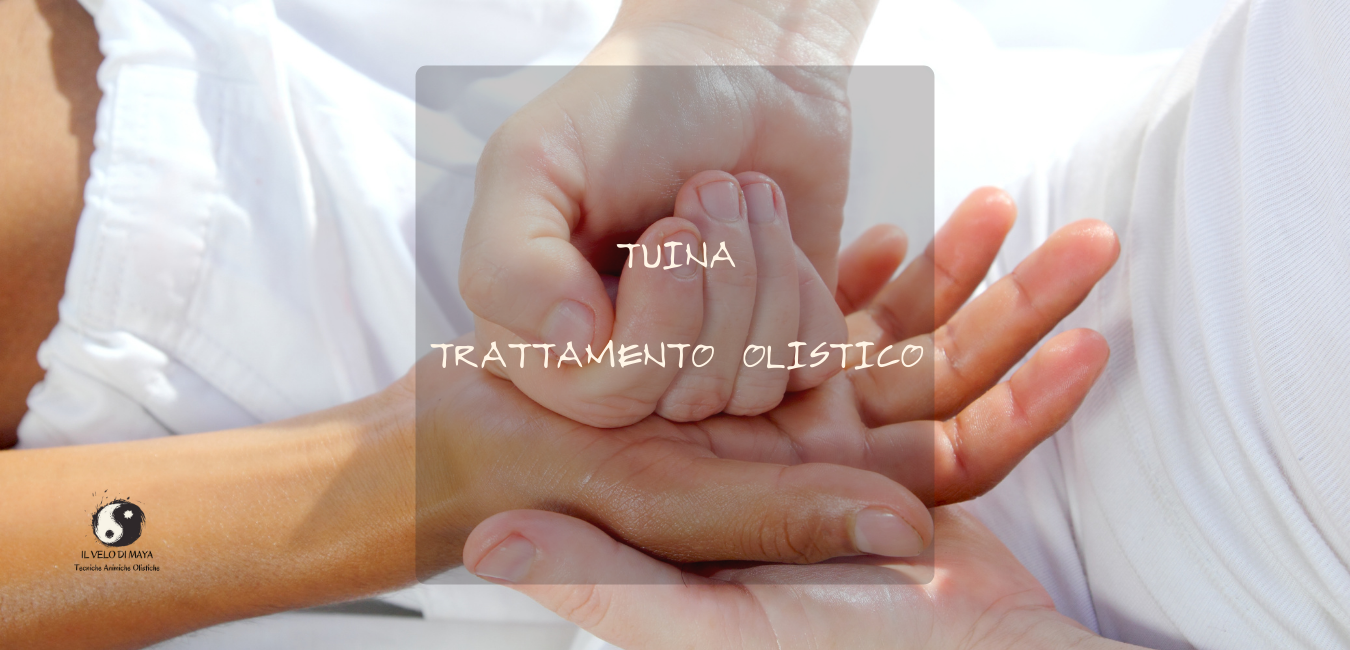 Tuina