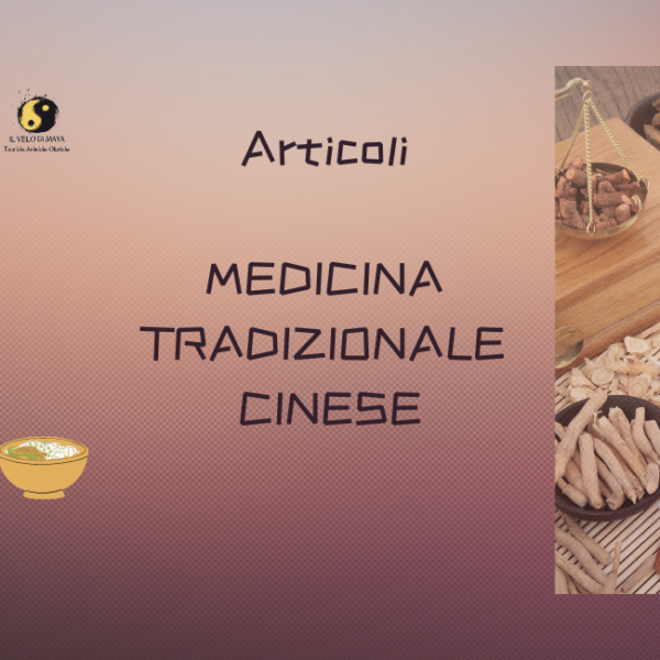 Articoli MTC