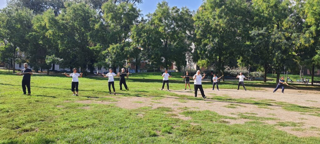 Stage Bastone Tai Chi foto