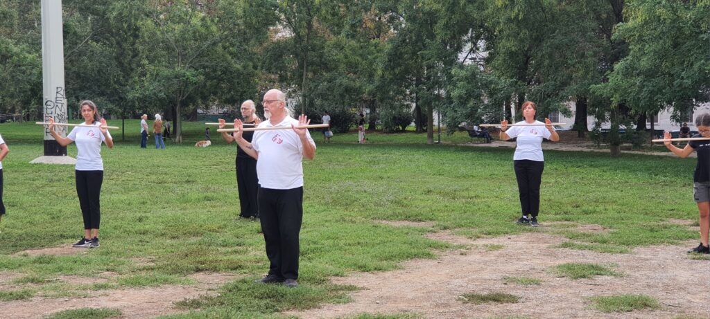 Stage Bastone Tai Chi foto