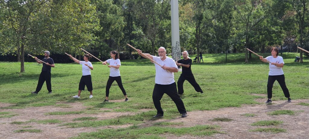 Stage Bastone Tai Chi foto