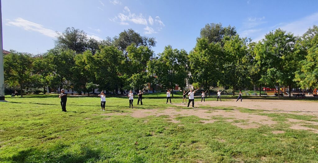 Stage Bastone Tai Chi foto