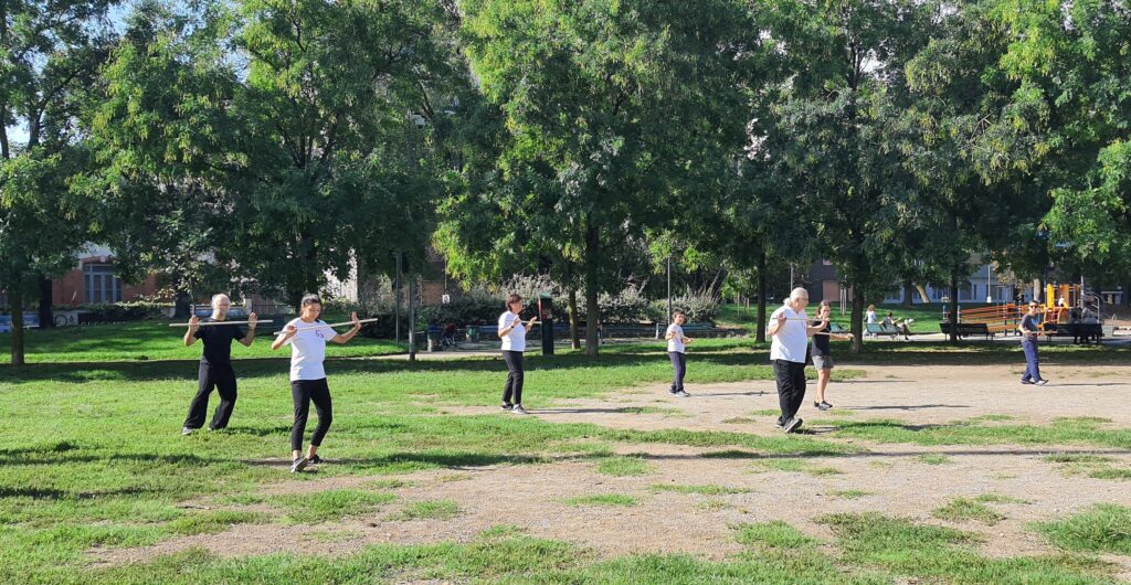 Stage Bastone Tai Chi foto